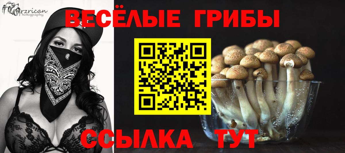ТГК  Усть-Джегута  Кокаин  NBOMe  ГАШ  Меф МЯУ МЯУ кристаллы  Вход с VPN 