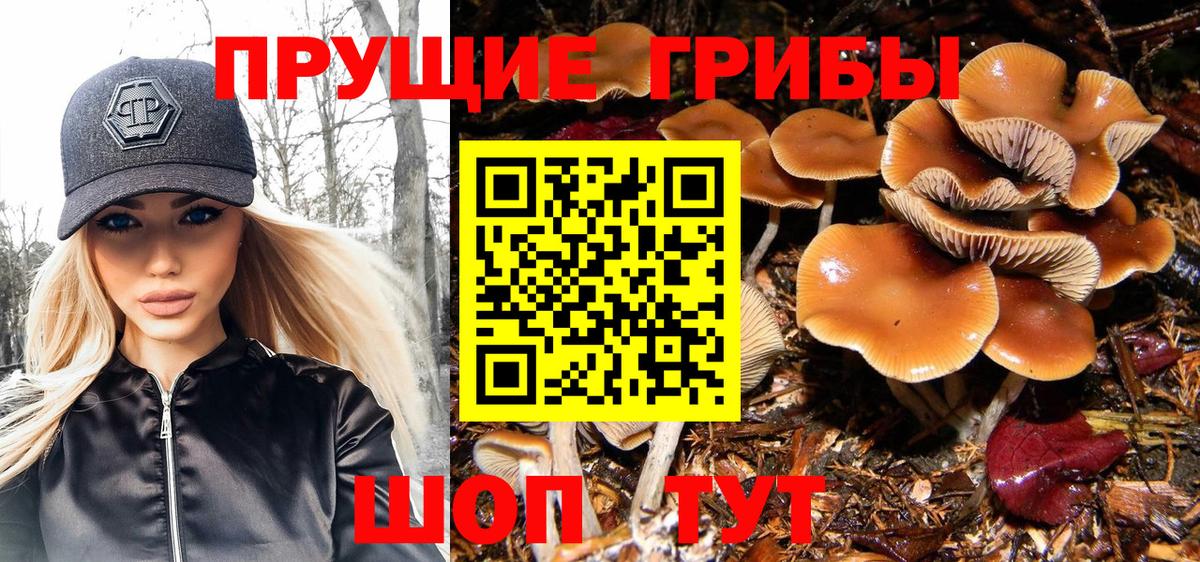 Галлюциногенные грибы MAGIC MUSHROOMS  Галлюциногенные грибы Psilocybe  Вход с VPN  Усть-Джегута 