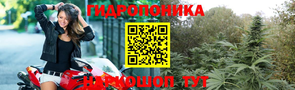 Каннабис AK-47 Усть-Джегута